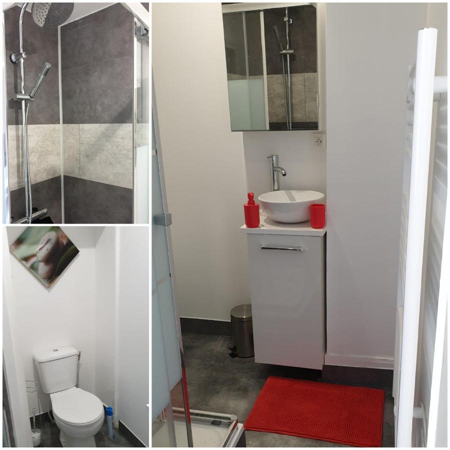 Chambres Poitiers Centre Ville - Salle De Bain, Refrigerateur, Tv Et Machine A Cafe Privatifs - Cuisine Commune - Terrasse - Hotel De Ville A 200M المظهر الخارجي الصورة