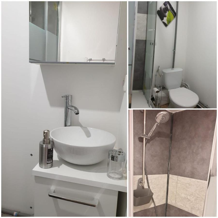 Chambres Poitiers Centre Ville - Salle De Bain, Refrigerateur, Tv Et Machine A Cafe Privatifs - Cuisine Commune - Terrasse - Hotel De Ville A 200M المظهر الخارجي الصورة