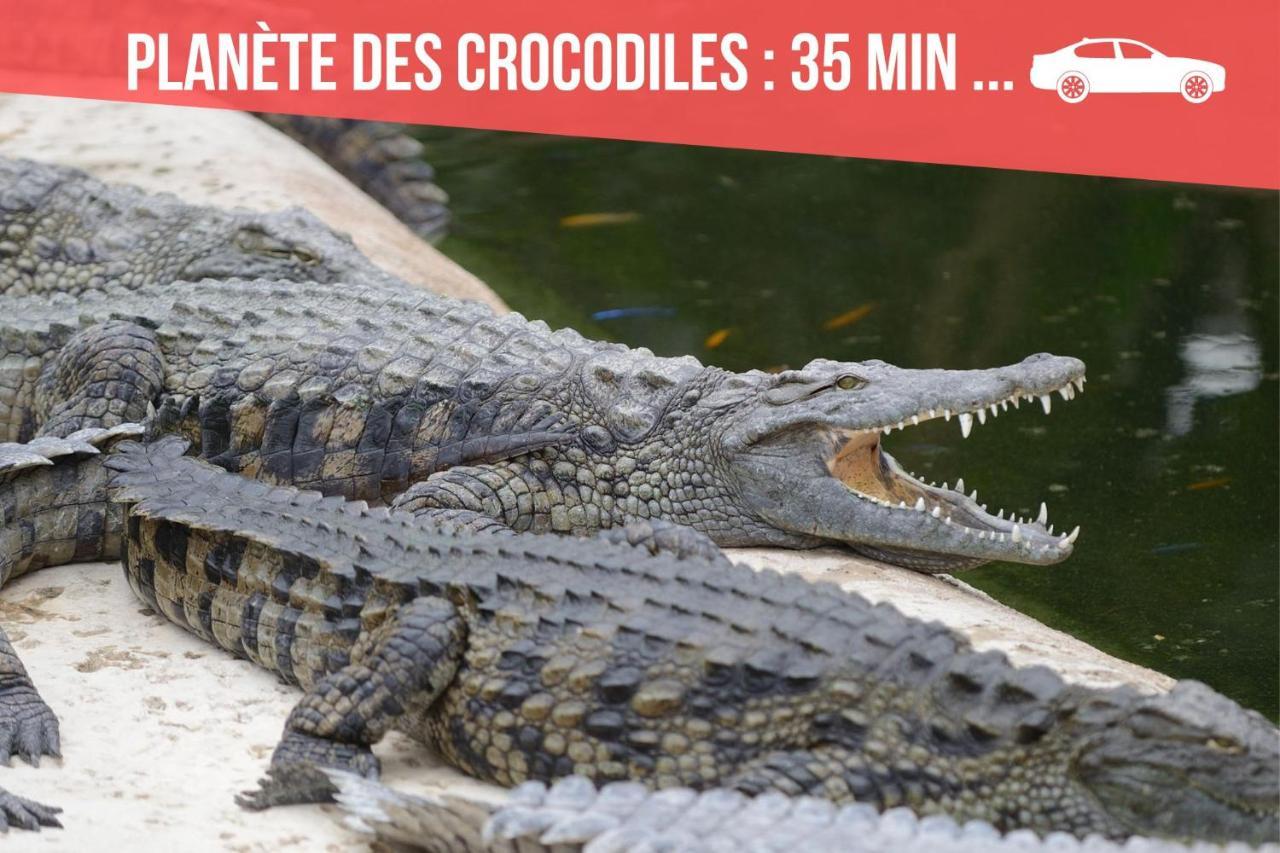 Chambres Poitiers Centre Ville - Salle De Bain, Refrigerateur, Tv Et Machine A Cafe Privatifs - Cuisine Commune - Terrasse - Hotel De Ville A 200M المظهر الخارجي الصورة